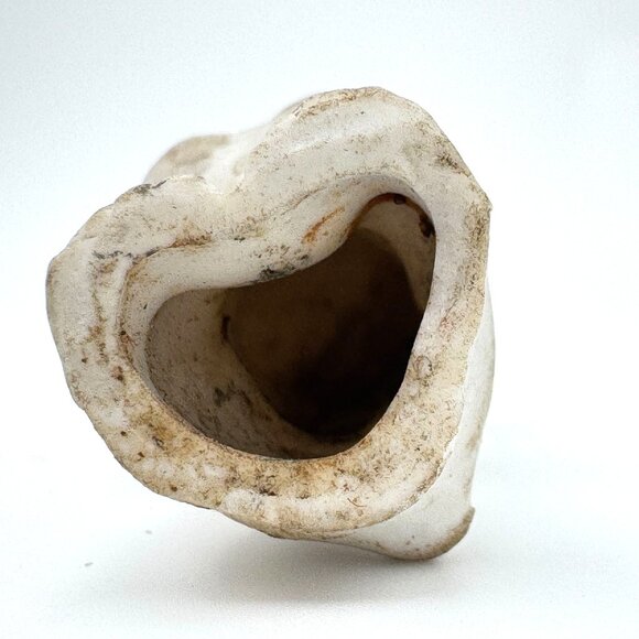 Buster Brown Dog Tige Bisque Antique Figurine Made In Germany Ca.1910s - Picture 6 of 8